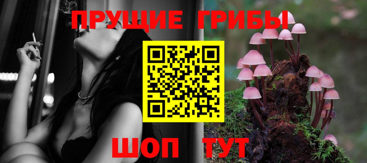 Псилоцибиновые грибы Psilocybine cubensis Таганрог