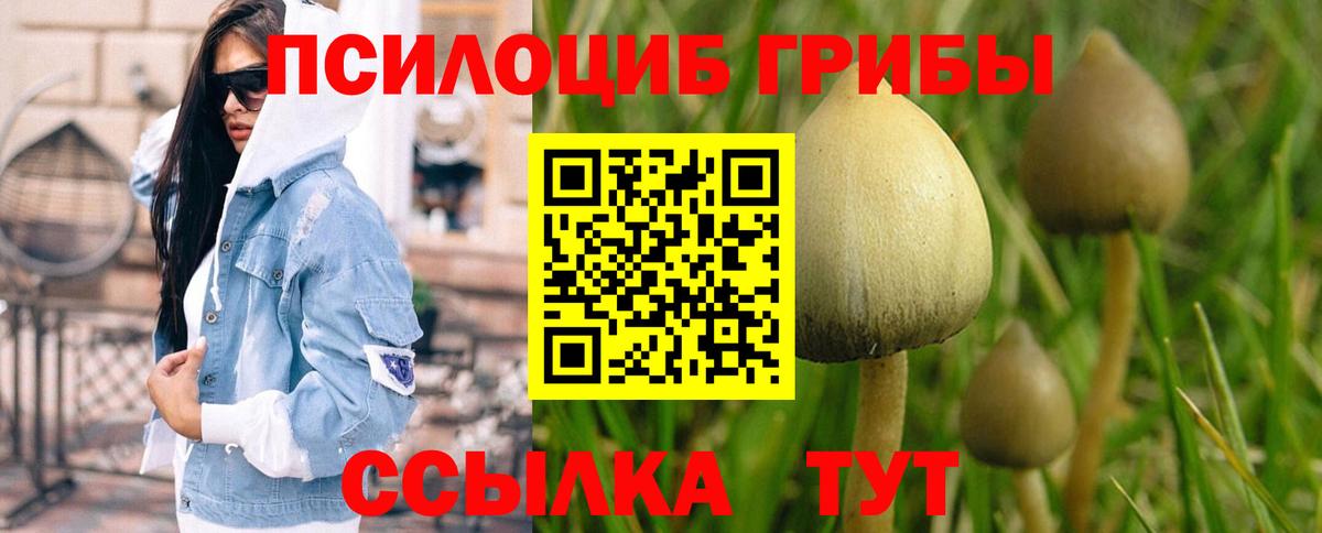 Псилоцибиновые грибы GOLDEN TEACHER  Псилоцибиновые грибы Psilocybine cubensis  Таганрог  Вход с VPN 